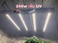 ไฟUVพร้อมส่ง(รับประกัน2ปี)ไฟปลูกกันชา กันชง ไฟปลูกต้นไม้ มีUV+IR Grow Bars640W/8บาร์ 480W/6บาร์ใช้ชิป Samsung 281B FULL SPECTRUM