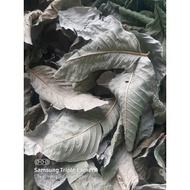 Dried guava leaves - Nam Dinh guava leaf powder