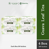 【4 Box】TKT Nature DiabeTea Guava Leaf Tea Manage 3 Highs 得康堂 DiabeTea 番石榴叶茶 降三高