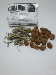 Kurma Muda Kering Plus Daun Marmia