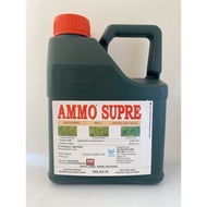 AMMO SUPRE 4LITER/Racun Rumput