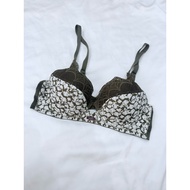 [Selection] Korean bra size 85B