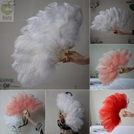 ROLY Handheld Fur Fan, Big Red Ostrich 12 Bones Folding Fan, Runway  Props 30*52cm 35*60cm Performan