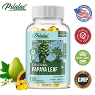 Papaya Leaf Extract 5000MG สารสกัดจากใบมะละกอ 60 แคปซูล