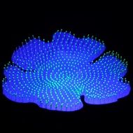 Aquarium 7inch big Artificial coral glow effect fish tank silicone