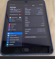 iPad mini 4 Excellent condition 100% working 64gb