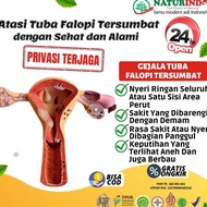 Kualitas No1 Obat Herbal Tuba Falopi Tersumbat Penyumbatan Tuba