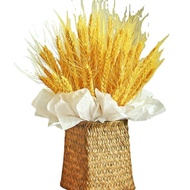 LaFloria® Dried Wheat/ Wheat Decor/ Dry Grass Decor✔️ Free Shipping