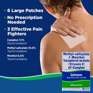 Salonpas Medicated Patches with Vitamin E (1box/10 Patches) MED