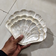Shell plate white set of 3 white shell plates fan model set