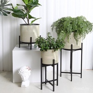 Seni Besi Minimalis Moden Ruang Tamu Lobak Hijau Berdiri di lantai Jaring Besi Berongga TV Sebelah T