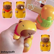 Capybara Squishy Toy Kapibara Antistress Stress Relief Adult Kid Kawaii Slow Squeeze Toys Birthday Gift