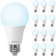 LED Light Bulbs, 100 Watt Equivalent LED Bulbs A19, 5000K Daylight Light Bulb, 1500 Lumens, E26 Stan
