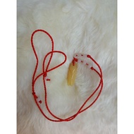 Feng Shui Citrine Cicada Red String Bracelet