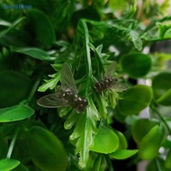 Sun Fly Fishing Bait, Fly , Biomimetic Soft Plastic Bait VN