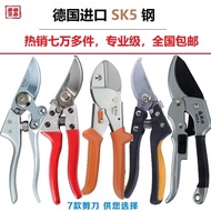 Pruning Shears Branch Pruner Tree Pruner Fruit Tree Scissors Flower Pruner Branch Pruning Garden Pru