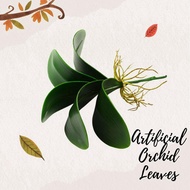 Plant Orchid Leaves, artificial, flower arrangement, home decor, events Afoil061