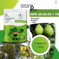TJN WATER SOLUBLE FERTILIZER NPK 20-20-20 + TE -1KG