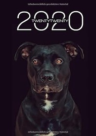 Terminplaner 2020: Taschenkalender 1 Woche 2 Seiten | Schwarzer Hund (German Edition)