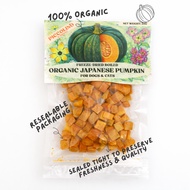 PICCOLINO Freeze Dried Organic Pumpkin 25G [PET TREATS FOR DOGS & CATS]