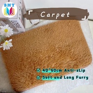 Carpet Bulu ( CP-4060) Floor Mat Door Mat Karpet Bulu Soft Furry Carpet Anti-slip