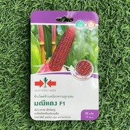 Benih Jagung Pulut Manis Ungu F1 Hybrid /Purple Sweet Corn Cap Panah Merah East West Seed (80biji)