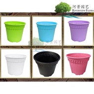 Baba RD-170 Plastic Flower Pot Nursery Planting Pot for Indoor & Outdoor - RIVERVIEW FLORA