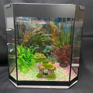 Ready stock Aquarium keci full set Size: 36x31x24cm,36x37x24cm