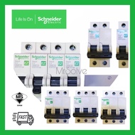 Schneider Easy9 MCB (6A~63A / 1P 2P 3P) 4.5KA