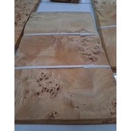 Veneerwood Mappa Burl
