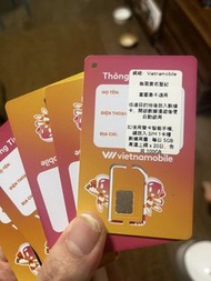 越南上網SIM卡20日100 GB