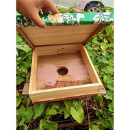 HIVE/SARANG KELULUT BAJET 2.0 (Heterotrigona Itama) - RKYM BEE FARM