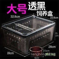 Reptile Breeding Box Amphibian Snail Spider Gecko Horned Frog Large Turtle Breeding Box with Hideout
