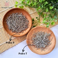 NICKEL NAILS 2CM - T NAILS & 9 Beads Imported MOTE NAILS