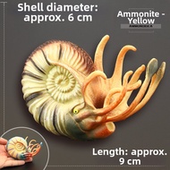 MENGSILE | Educational Soft-body Ammonite Replica Toy