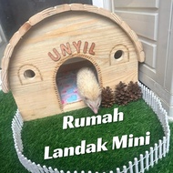 Mini Hedgehog House Guinea Pig House Hedgehog House