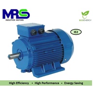 MRS Three-Phase IE2 100L-2 Induction Motor 3kW (4HP)/2900rpm/3Phase/415V/50Hz (Foot Mounted)