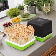 FLUME Seedling Tray Hydroponic Peanut Plastic Garlic Breathable Bean Sprout Sprout Planting Box