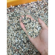 [ SG SELLER ] 1kg succulent / cactus rainbow mix soil rock stones