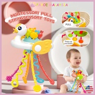 Payoe 6in1 Octopus Pull String Baby Molar Toys Nweborn Rattle Teether Toys Toddler Finger Exercise E