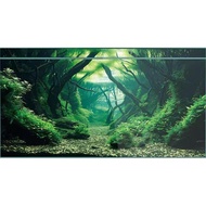 Dingdoudou Natural Landscape Background Aquarium Sticker 30cm 40cm 50cm 60cm 80cm (Aquarium Forest-1
