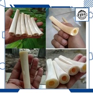 Once Pipa Rokok Iga duyung 12cm Asli 100% pipa kayu gaharu asli pipa kayu nagasari pipa once iga duy