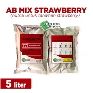 Nutrisi Hidroponik AB Mix Buah 5 Liter Padat - Pupuk AB Mix