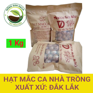 [ 1kg ] Hạt Macca Tây Nguyên - Macca tách vỏ  - Hạt Macca thiên nhiên Cao cấp Thơm ngon Hạt to  - Tâ