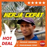 PERKAKAS RIPIN CHANEL Berkualitas