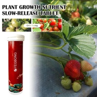 Universal Gardening Slow-Release Tablet Organic Fertilizer Slow Plant Phosphorus Nitrogen Agent Release Flowers Potassium A2W7