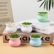 6 X 4.6CM FLOATING POT IN MANY COLORS