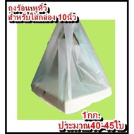 Hot Bag 10-Inch Pizza Box Pack Of 1 Kg. Thickness 80 Microns