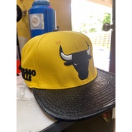 pro standard cap chicago bull