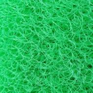 [HCM]Jmat xoắn ốc moutain tree 50x50cm